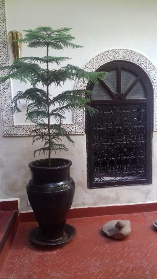 Riad Sidi Ayoub Marrakesh Exterior photo